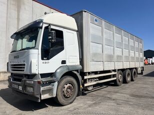 شاحنة نقل المواشي IVECO STRALIS AT260S43Y-PT