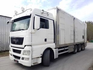 شاحنة نقل المواشي MAN TGX 35.540 8X4 TRIDEM ANIMAL