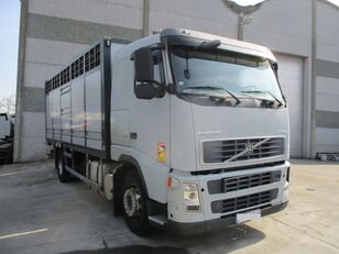 شاحنة نقل المواشي VOLVO FH12